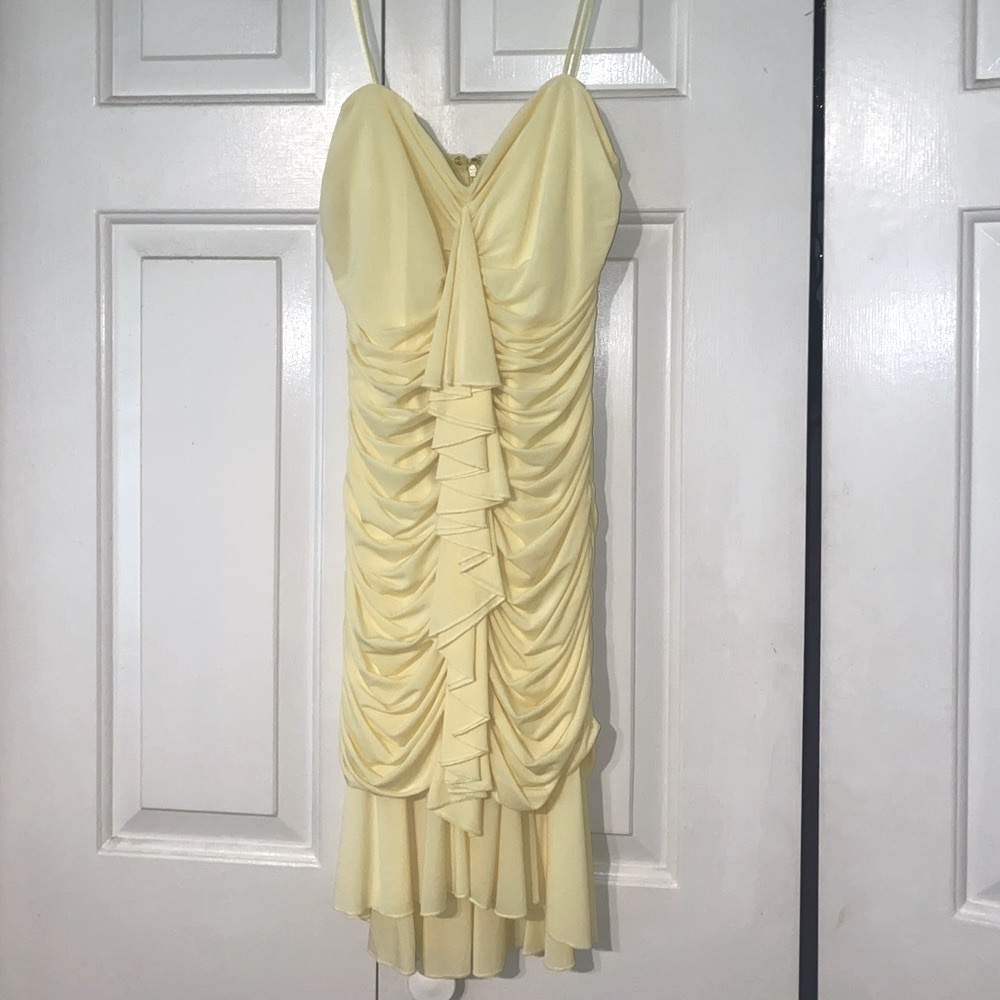 COPY - NWT BCBGMaxAzria Fitted Cocktail Dress (XS)